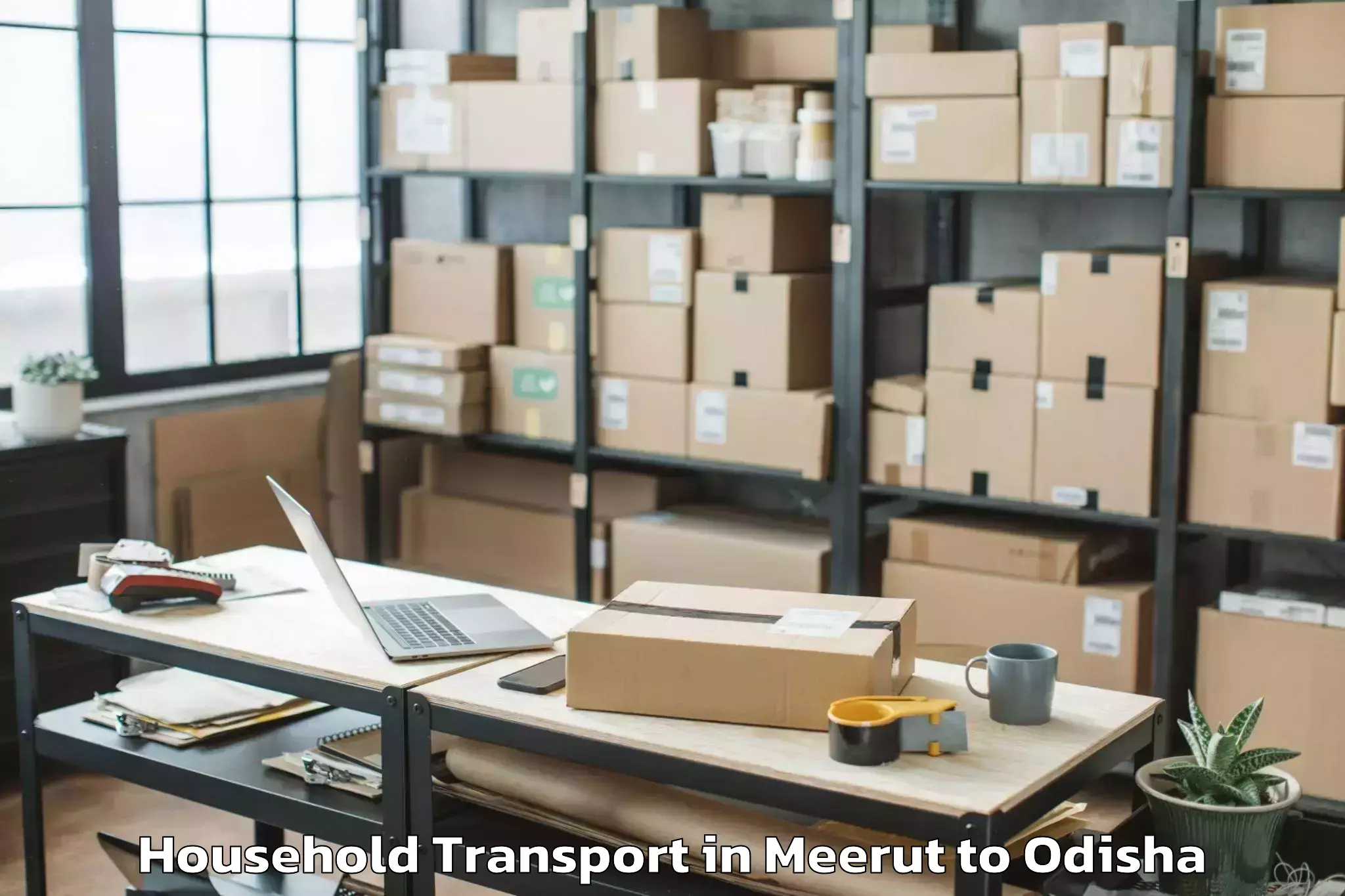 Book Meerut to Daspalla Household Transport Online